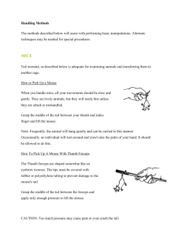 Handling Methods The methods described below will assist with