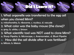 1. What organelle was transferred to the egg cell when you cloned