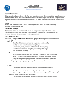 Critter Close-Up - Tennessee Aquarium