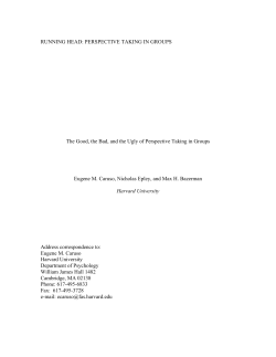 PERSPECTIVE TAKING IN GROUPS The Good