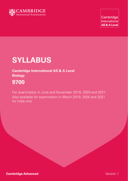2019 - 2021 Syllabus - Cambridge International Examinations