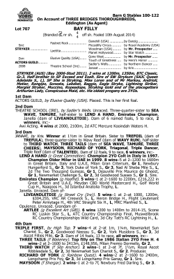 bay filly - Three Bridges Thoroughbreds