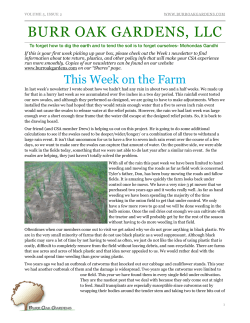 BURR OAK GARDENS, LLC