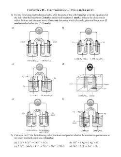 Electrochemical Cells Worksheet