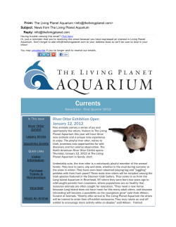 Currents - Living Planet Aquarium