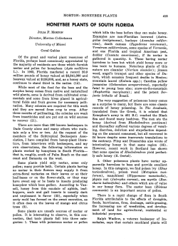 honeybee plants of south florida - Florida State Horticultural Society