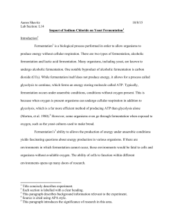 Impact of Sodium Chloride on Yeast Fermentation
