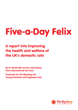 9249 CLAREMONT &ndash; Five-a-day Felix report.indd