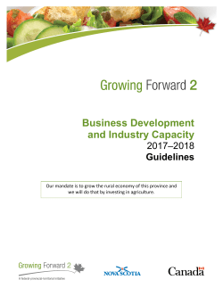 Business Development and Industry Capacity