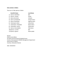 Oaks - (ENVIS), Sikkim