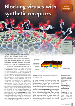 Blocking viruses with synthetic receptors