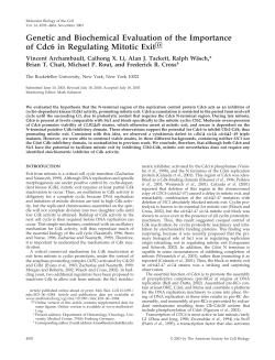 Genetic and Biochemical Evaluation of the Importance of Cdc6 in