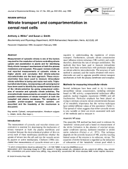 Nitrate transport and compartmentation in cereal