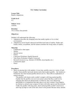 TLC Online Curriculum Lesson Title: Reptile Adaptations Grade