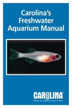 451785 Carolina Freshwater Aquarium Manual.qxd