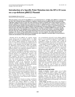Introduction of a Specific Point Mutation into the RNA II Locus on a