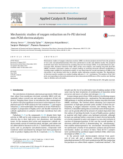 Mechanistic studies of oxygen reduction on Fe