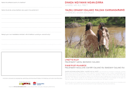 DHAGA NGIYANHI NGAN.GIRRA