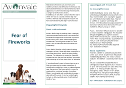 Fear of Fireworks - Avonvale Veterinary Centres