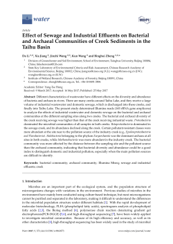 Effect of Sewage and Industrial Effluents on Bacterial and Archaeal