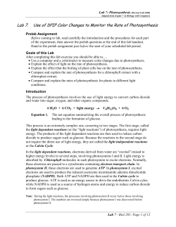 Lab 6 Photosynthesis