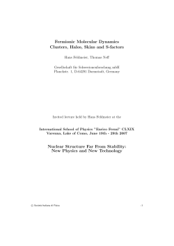 Fermionic Molecular Dynamics Clusters, Halos, Skins and S