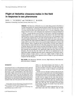 Flight of Heliothis virescens males in the field in response to sex