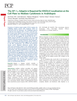 PDF - Oxford Academic - Oxford University Press