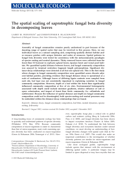 The spatial scaling of saprotrophic fungal beta diversity in