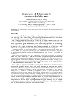 Asynchronous cell division model for morphogenesis of plant leaves