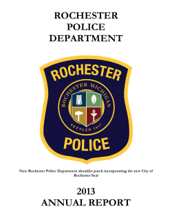 2013 Annual Report - City of Rochester, MI