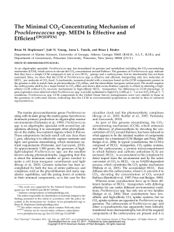 The Minimal CO -Concentrating Mechanism of