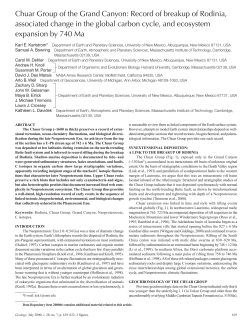Chuar Group of the Grand Canyon: Record of breakup of Rodinia