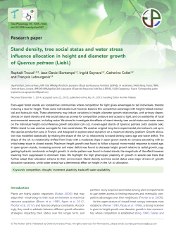 Stand density, tree social status and water stress