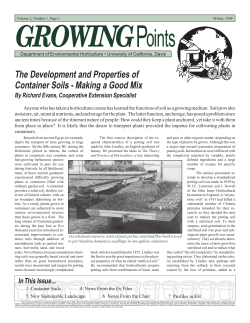 The Development and Properties of Container Soils
