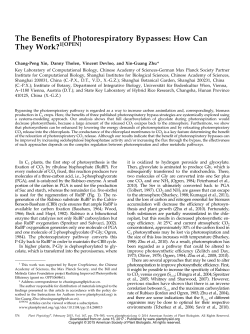 The Beneits of Photorespiratory Bypasses: How