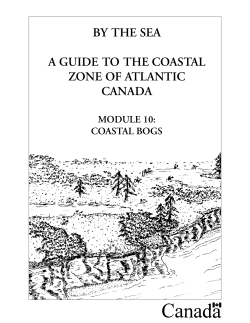 by the sea a guide to the coastal zone of atlantic canada