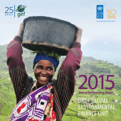 UNDP GLOBAL ENVIRONMENTAL FINANCE UNIT