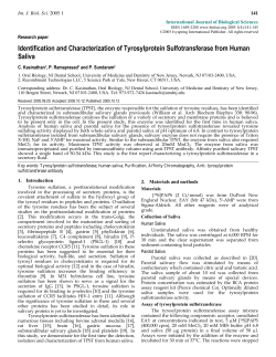 Identification and Characterization of Tyrosylprotein Sulfotransferase
