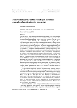 Neutron reflectivity at the solid/liquid interface: examples of