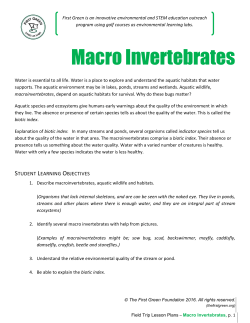 Macro Invertebrates