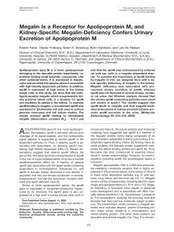 Megalin Is a Receptor for Apolipoprotein M, and Kidney