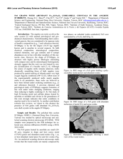 FeS GRAINS WITH ABUNDANT Fe1-xO-Fe3O4 CORE