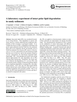 A laboratory experiment of intact polar lipid