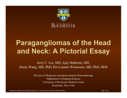 Paragangliomas of the Head and Neck: A Pictorial Essay
