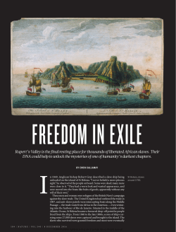 Freedom in Exile