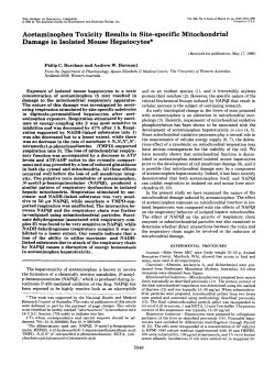 Acetaminophen toxicity mitochondrial damage