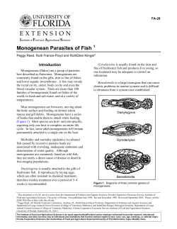 Monogenean Parasites of Fish 1 - Alabama Cooperative Extension