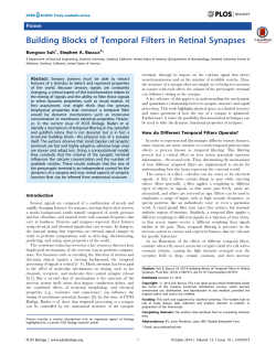 Building Blocks of Temporal Filters in Retinal Synapses