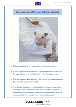 The booklet "Taking good care of Ellegaard G&ouml;ttingen Minipigs"